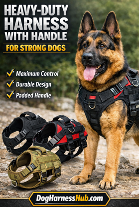 Best Dog harness with handle