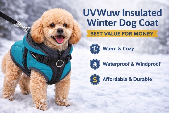 UVWuw Insulated Winter Dog Coat - best dog winter coat with harness 